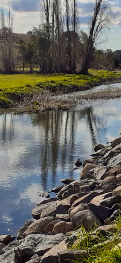 Adelong Falls Bush Camp