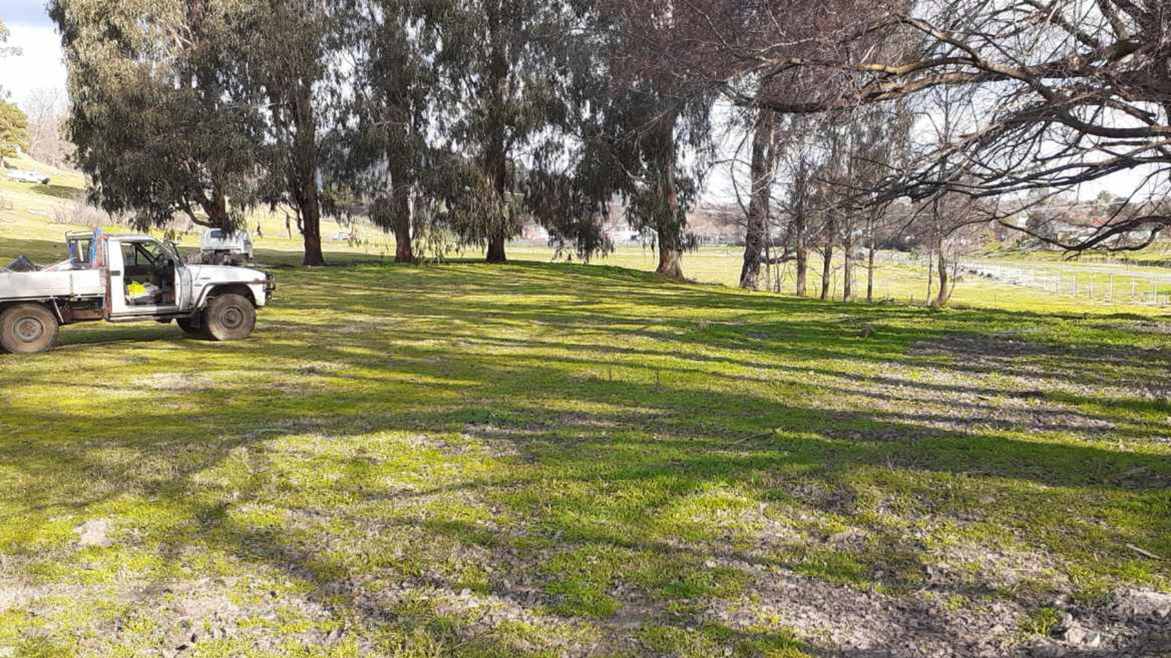 Adelong Falls Bush Camp