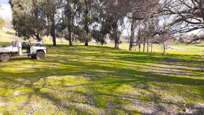 Adelong Falls Bush Camp