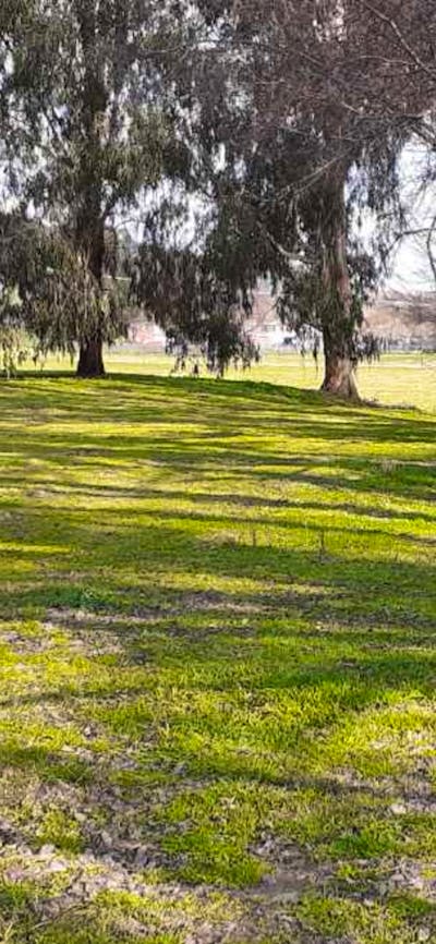 Adelong Falls Bush Camp
