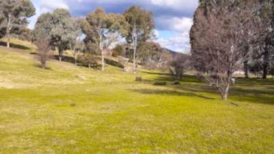 Adelong Falls Bush Camp