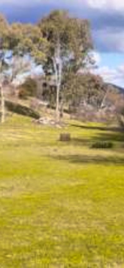 Adelong Falls Bush Camp