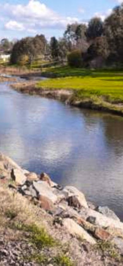 Adelong Falls Bush Camp