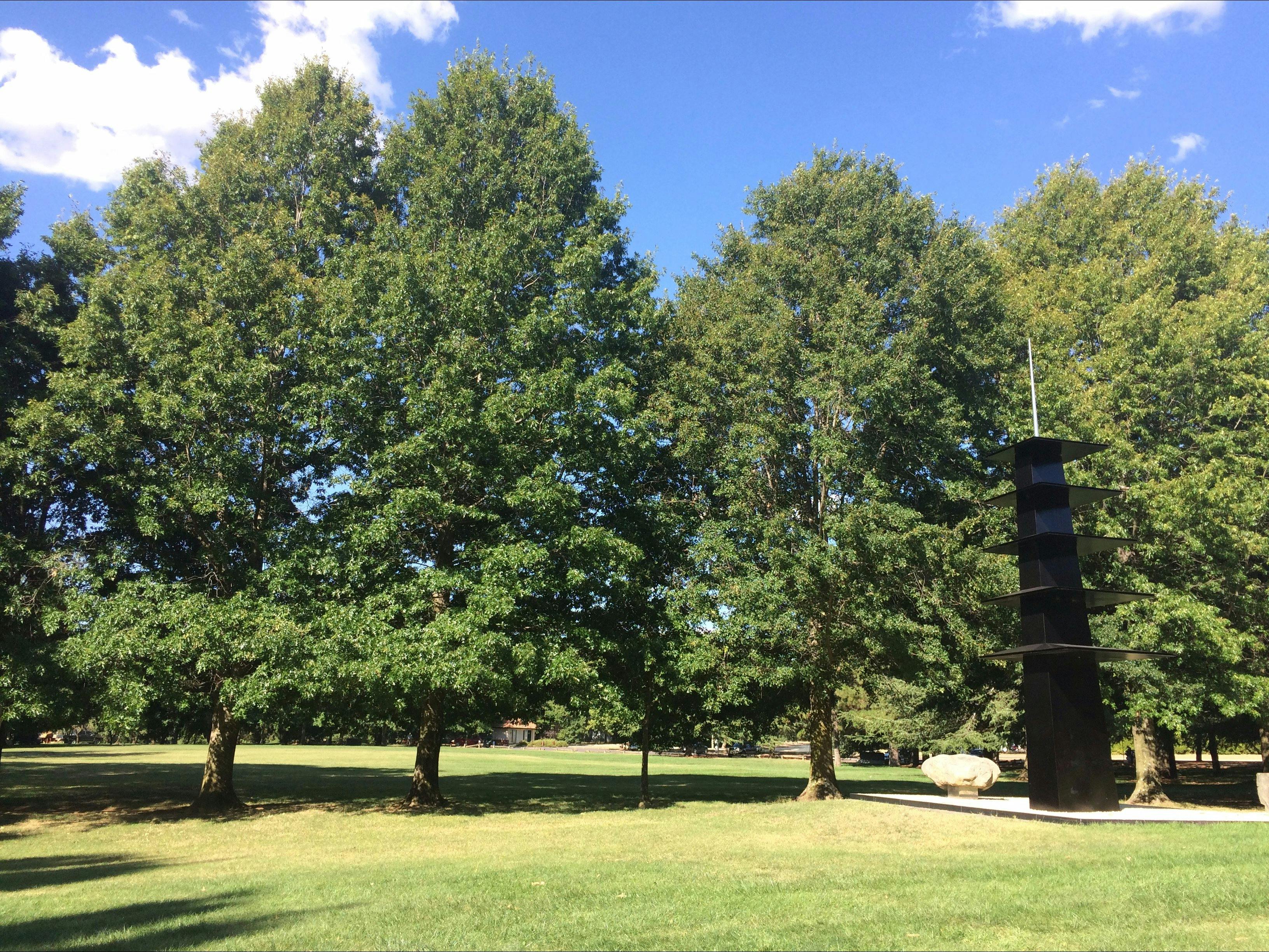Wide open spaces, tall trees and a Japanese eight-meter-high pagoda