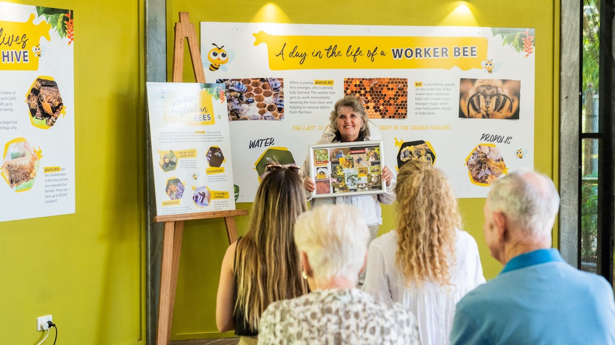 Beekeeper with guests doing our Live Bee Show