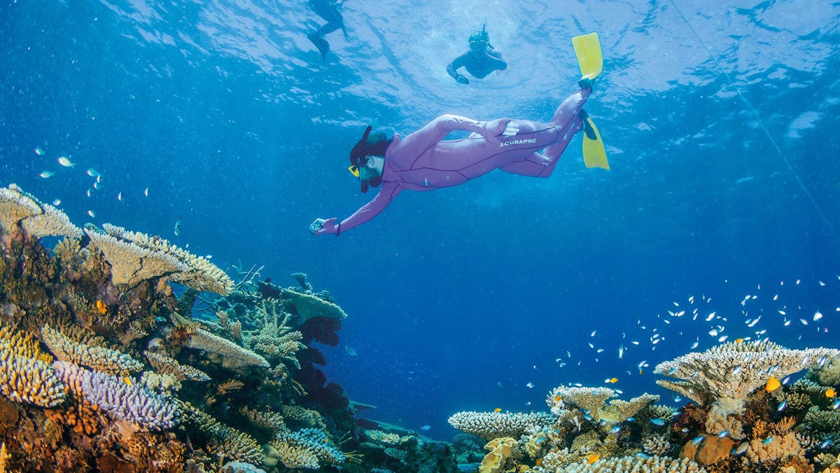 Great Barrier Reef