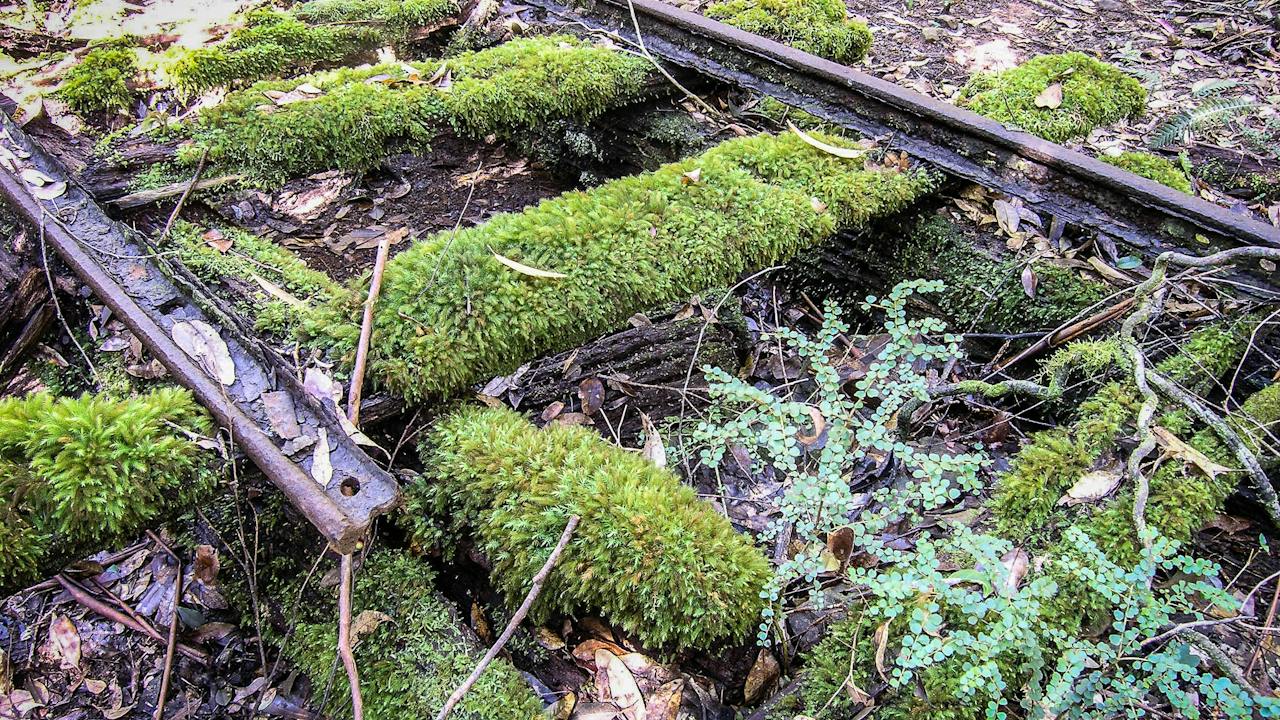 historical rail line, Wotton Historical Railway Walk