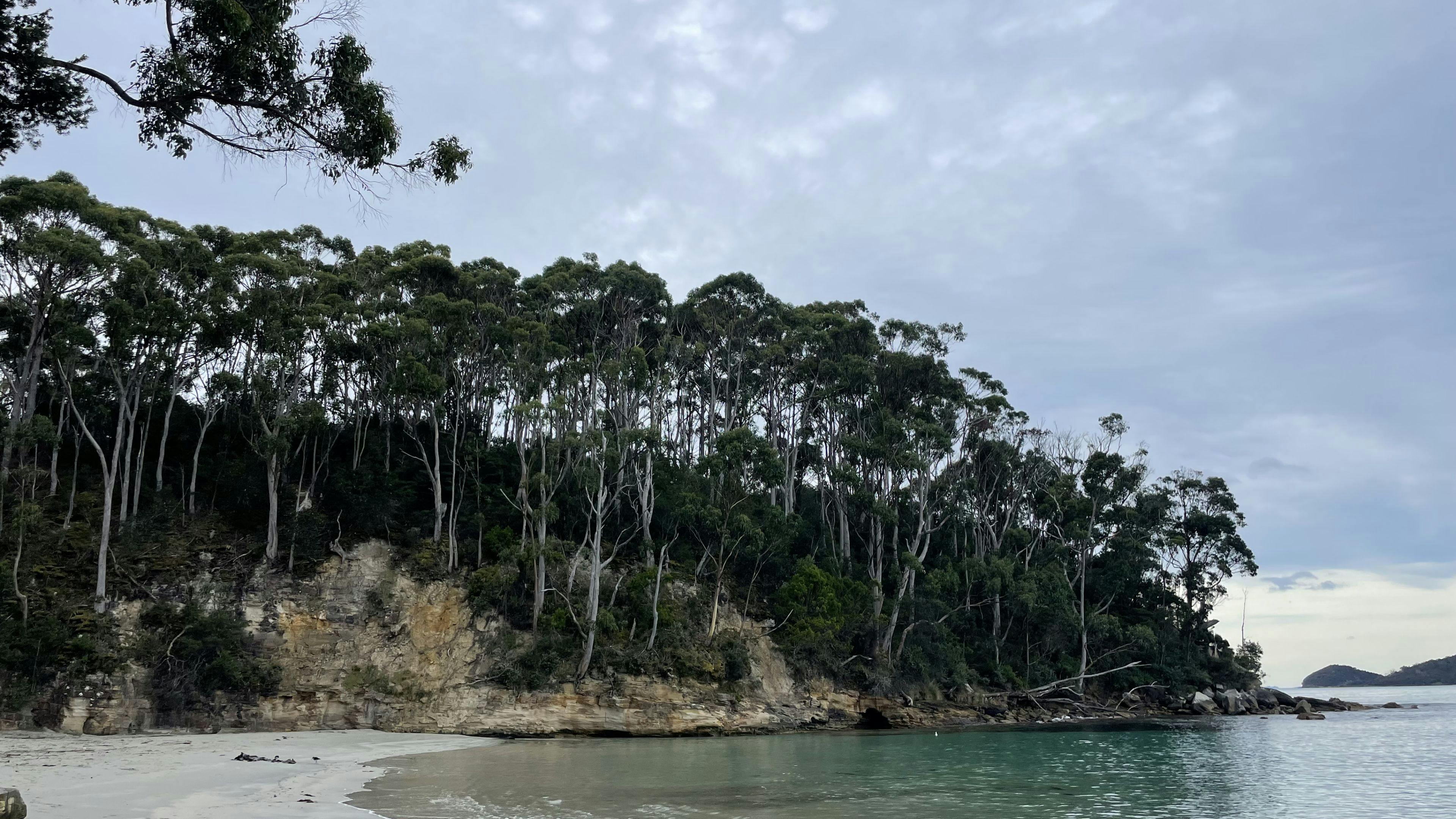 Adventure bay beach backyard camp