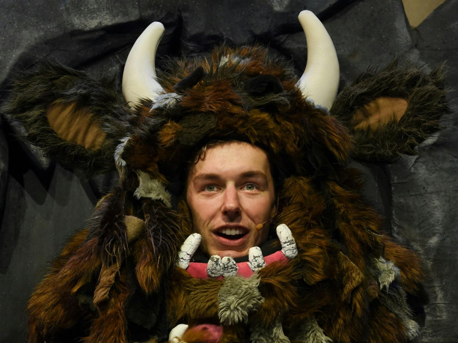 The Gruffalo's Child