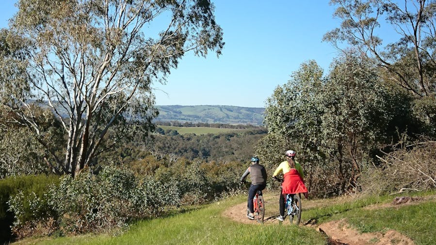 McLaren Vale bike and wine tour - Adelaide, Tour Service | South