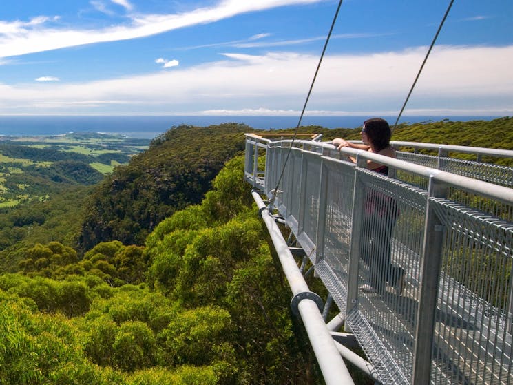 View from cantilever arm on Treetop Walk