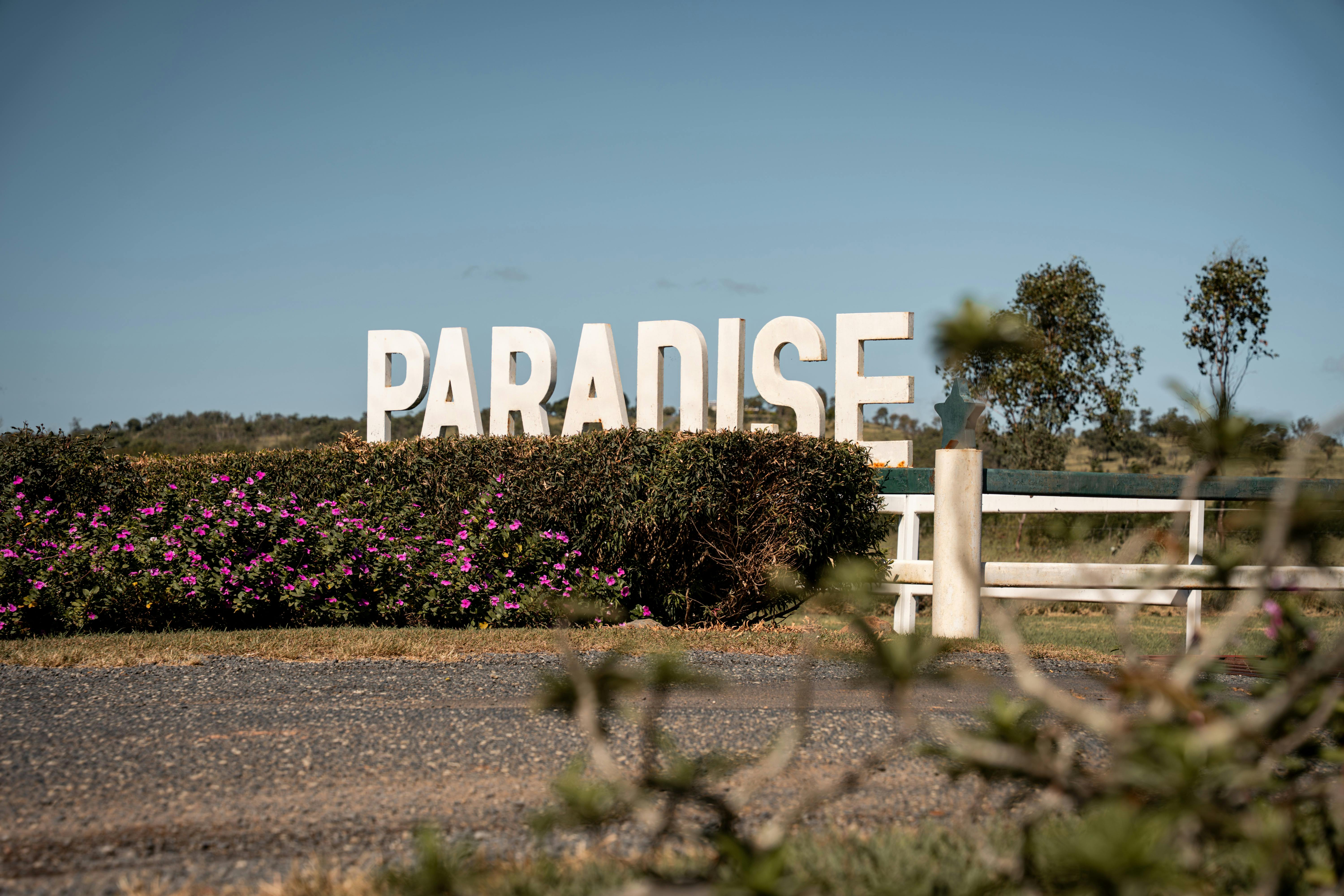 Maroons Under the Stars Dinner