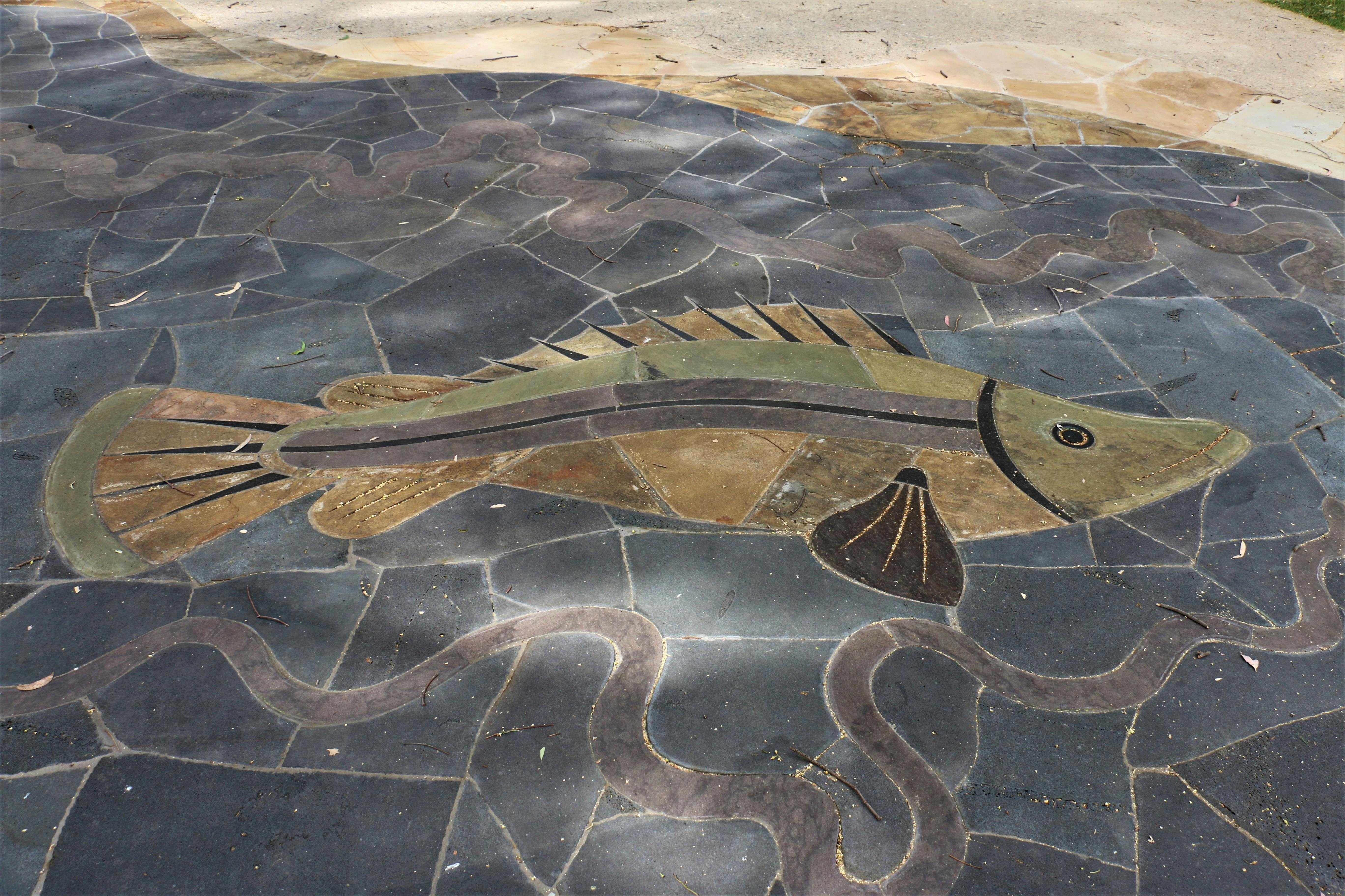 In ground mural of a Murray Cod created from slate and basalt