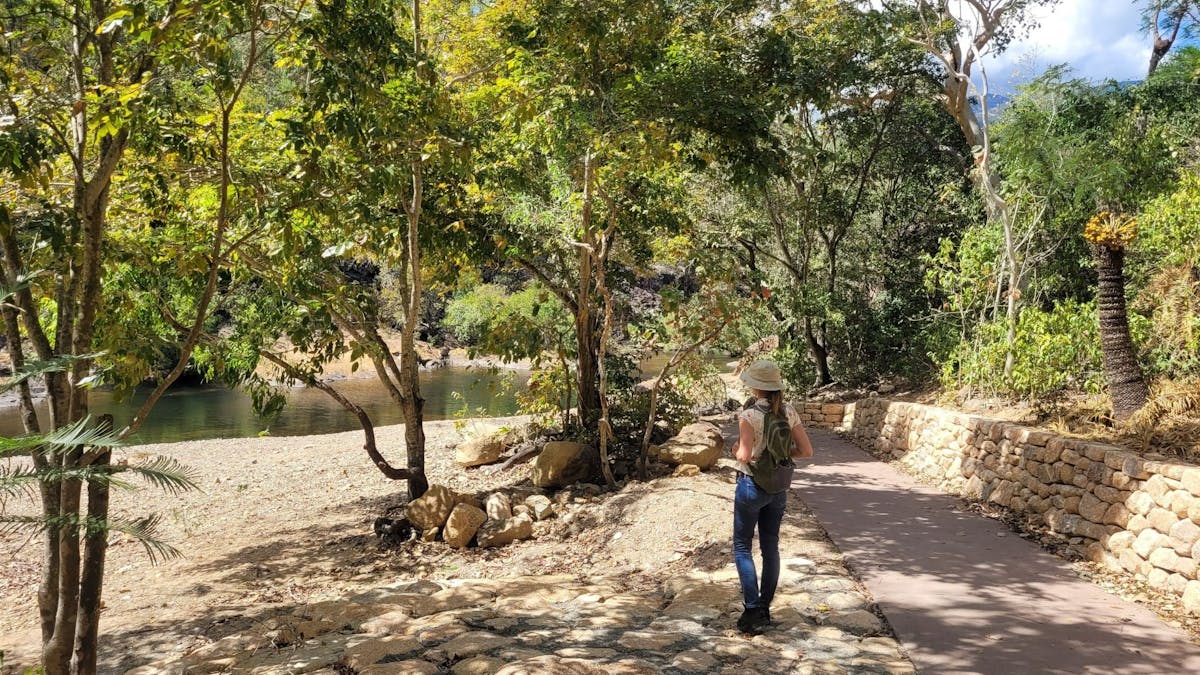 Person standing on rocks just off concrete path, looking through trees to a creek in the background.