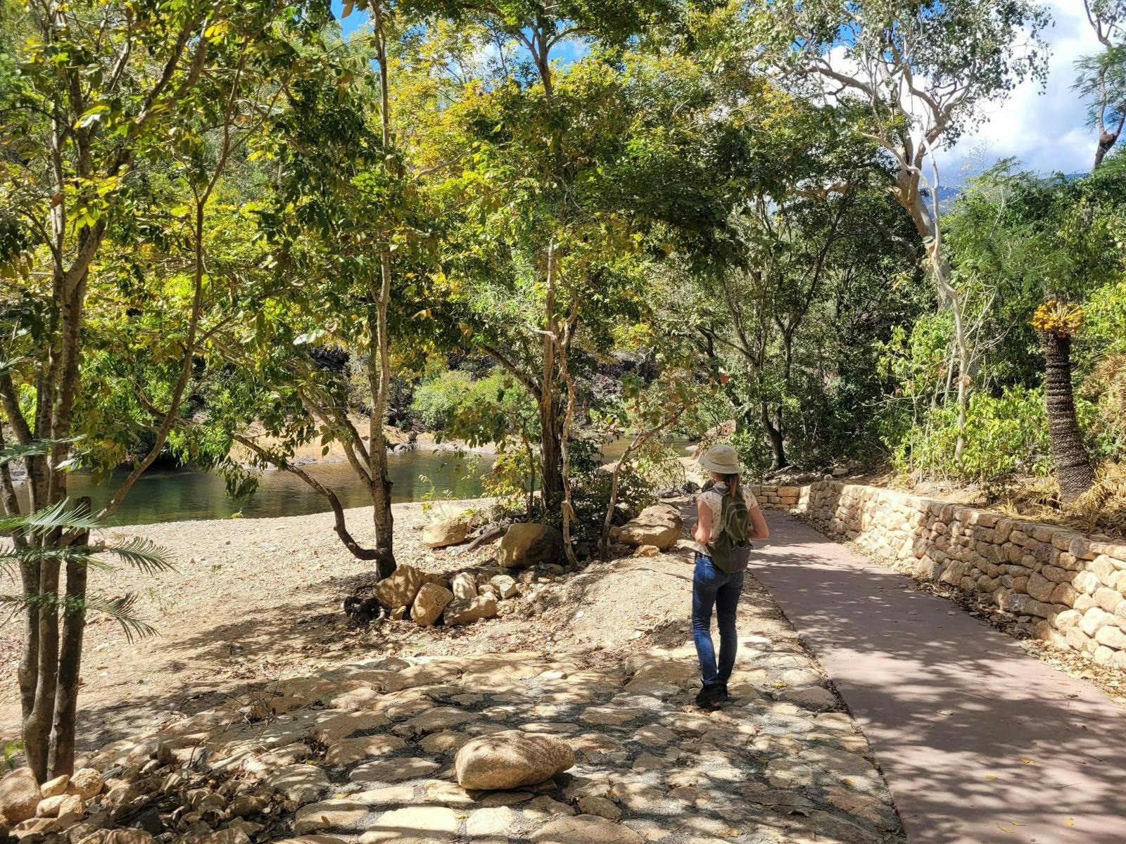 Person standing on rocks just off concrete path, looking through trees to a creek in the background.
