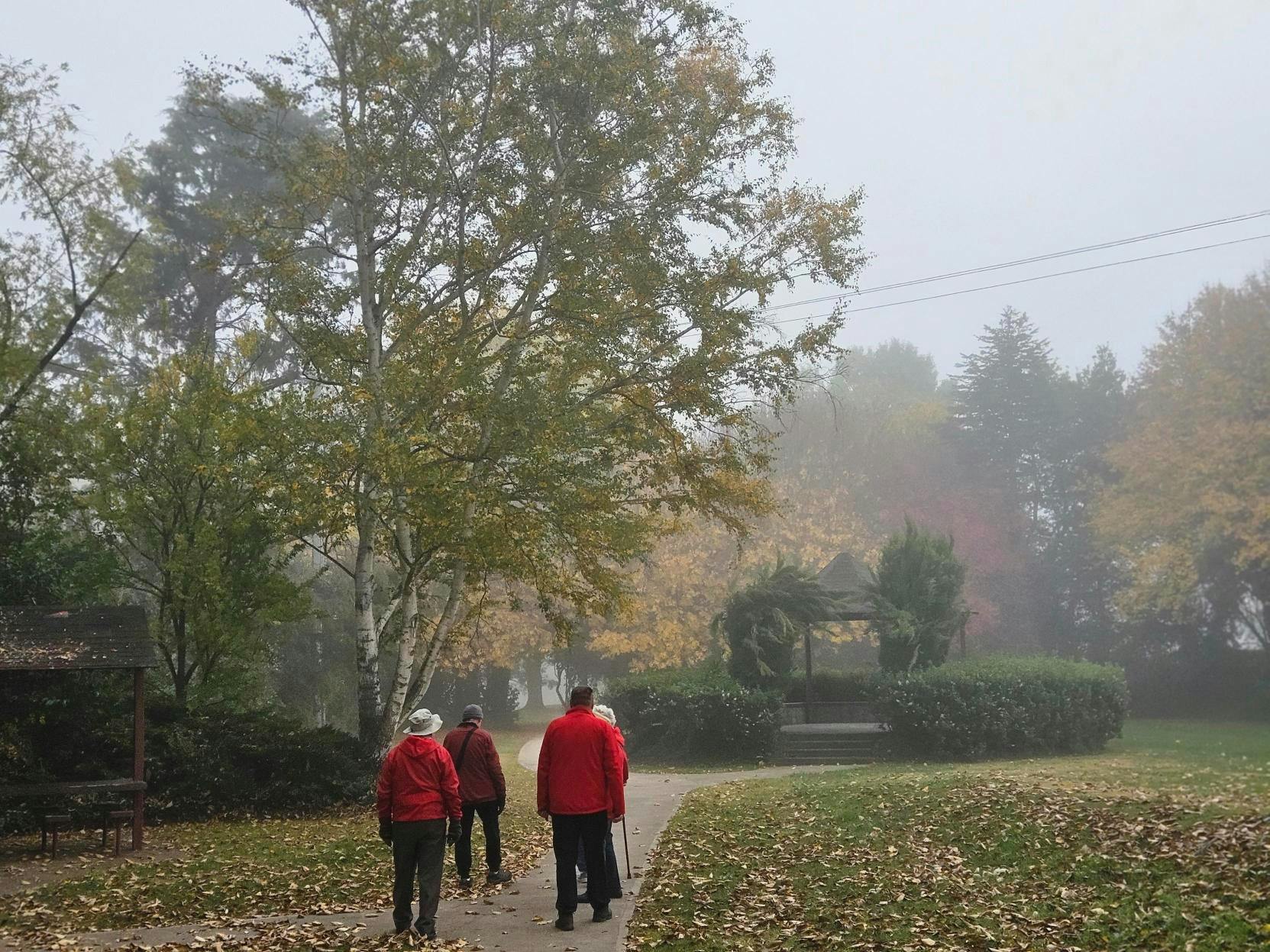 norris park morning walk fog scenic