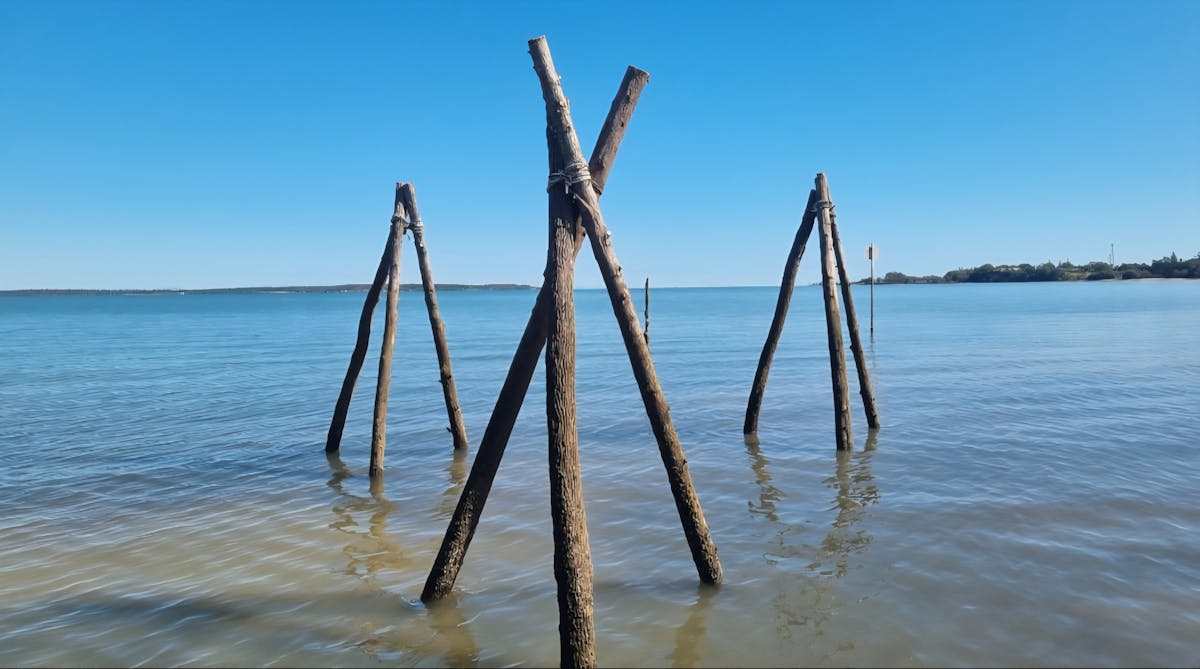 Quandamooka Oyster Farm Tours