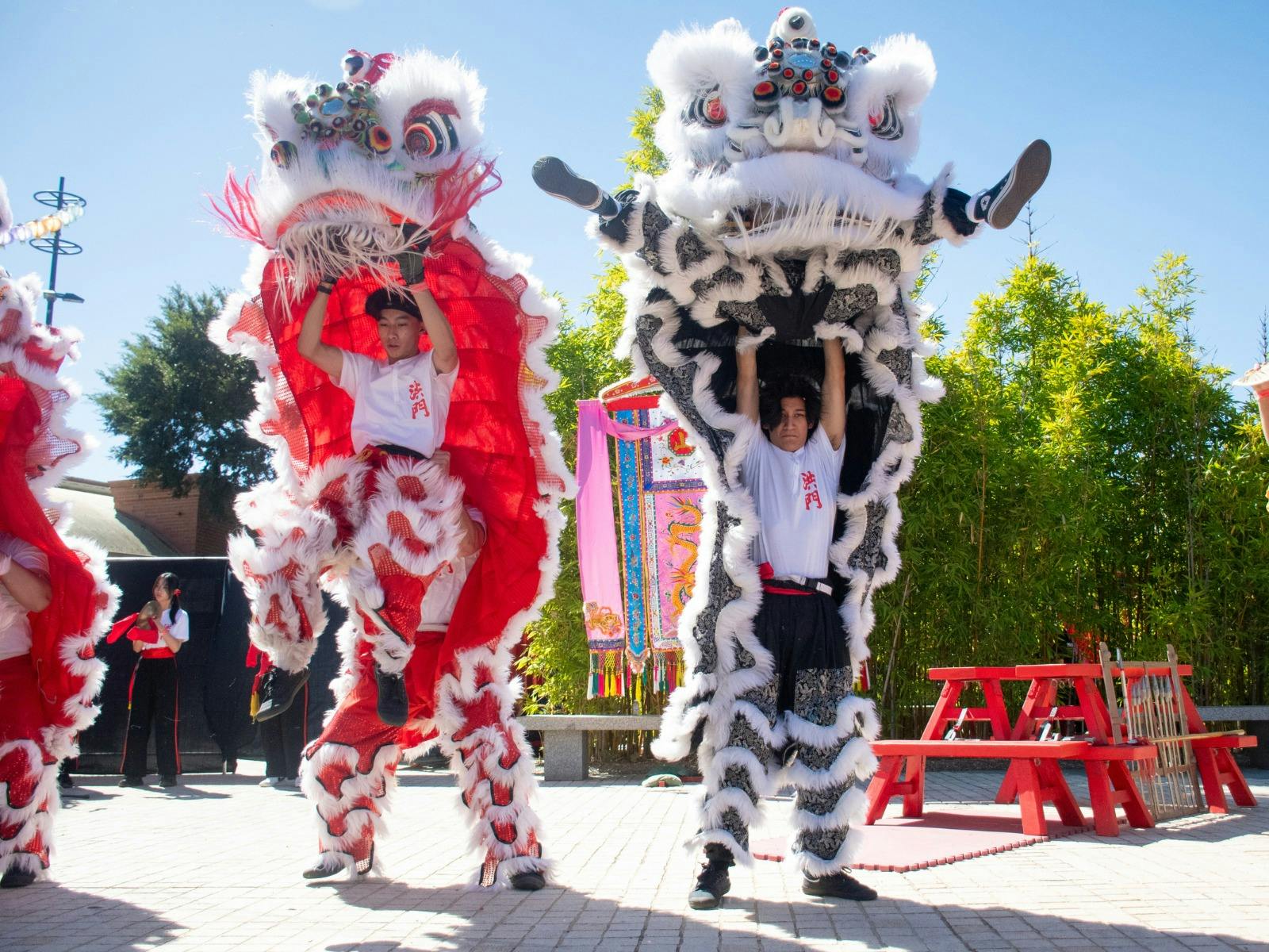 Two lion dancers holding up the head of the tradition Chinese lion