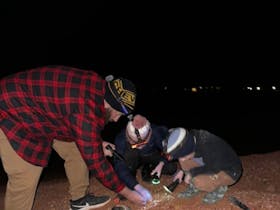 Opal Hunting At Night
