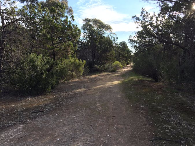 Victoria Park Moonta monthly walks