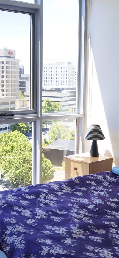 light filled and view