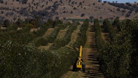 Rylstone Olive Press