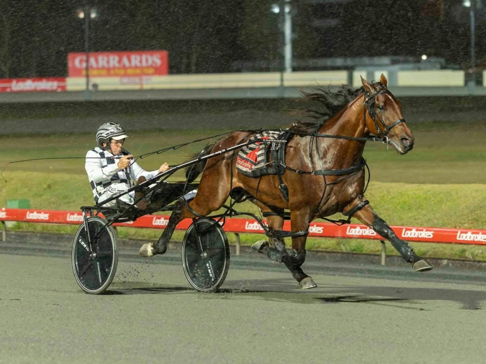 Champion horse Leap To Fame racing at Albion Park.