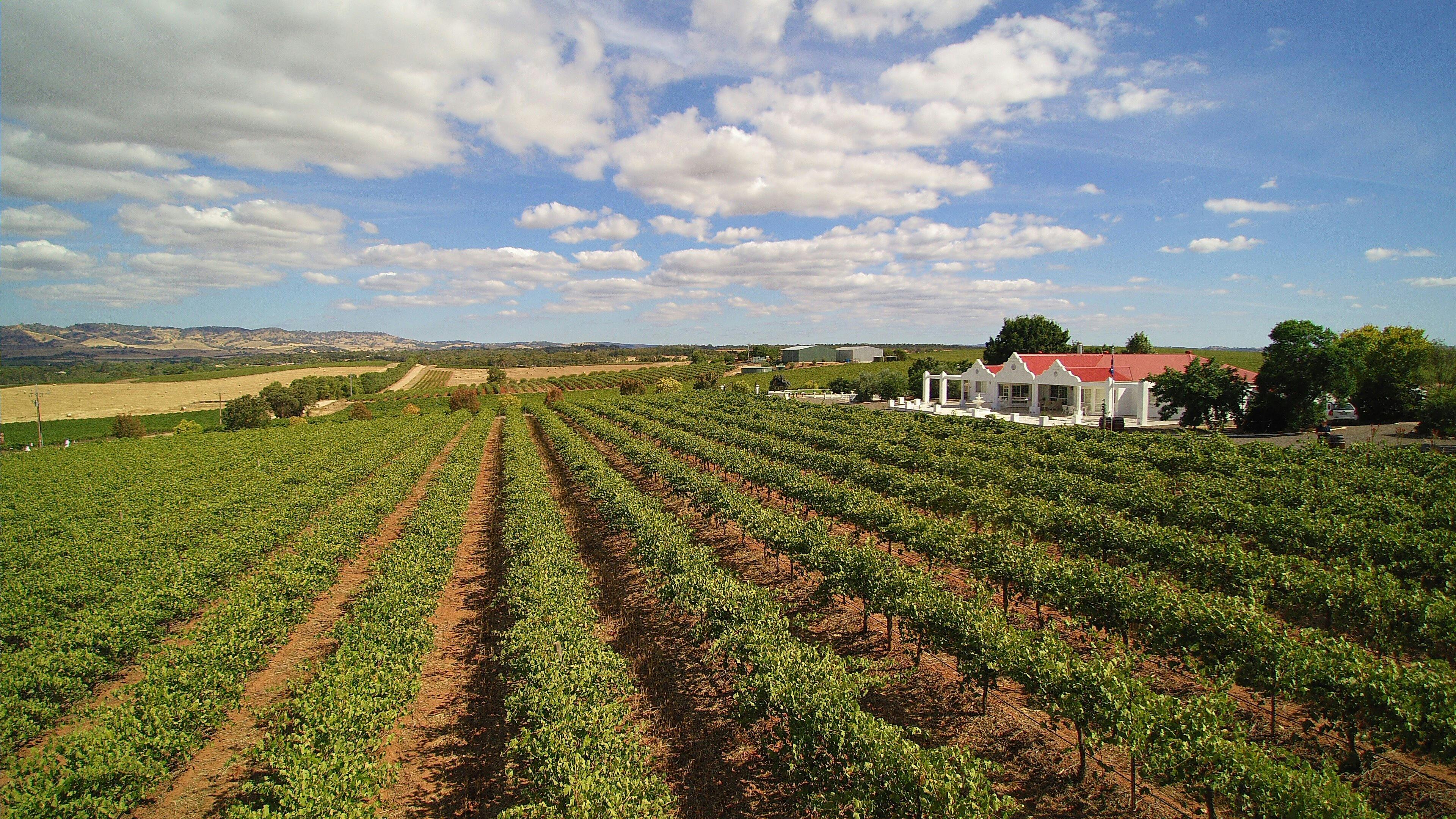 1837 Barossa Luxury Vineyard Cottages | Barossa