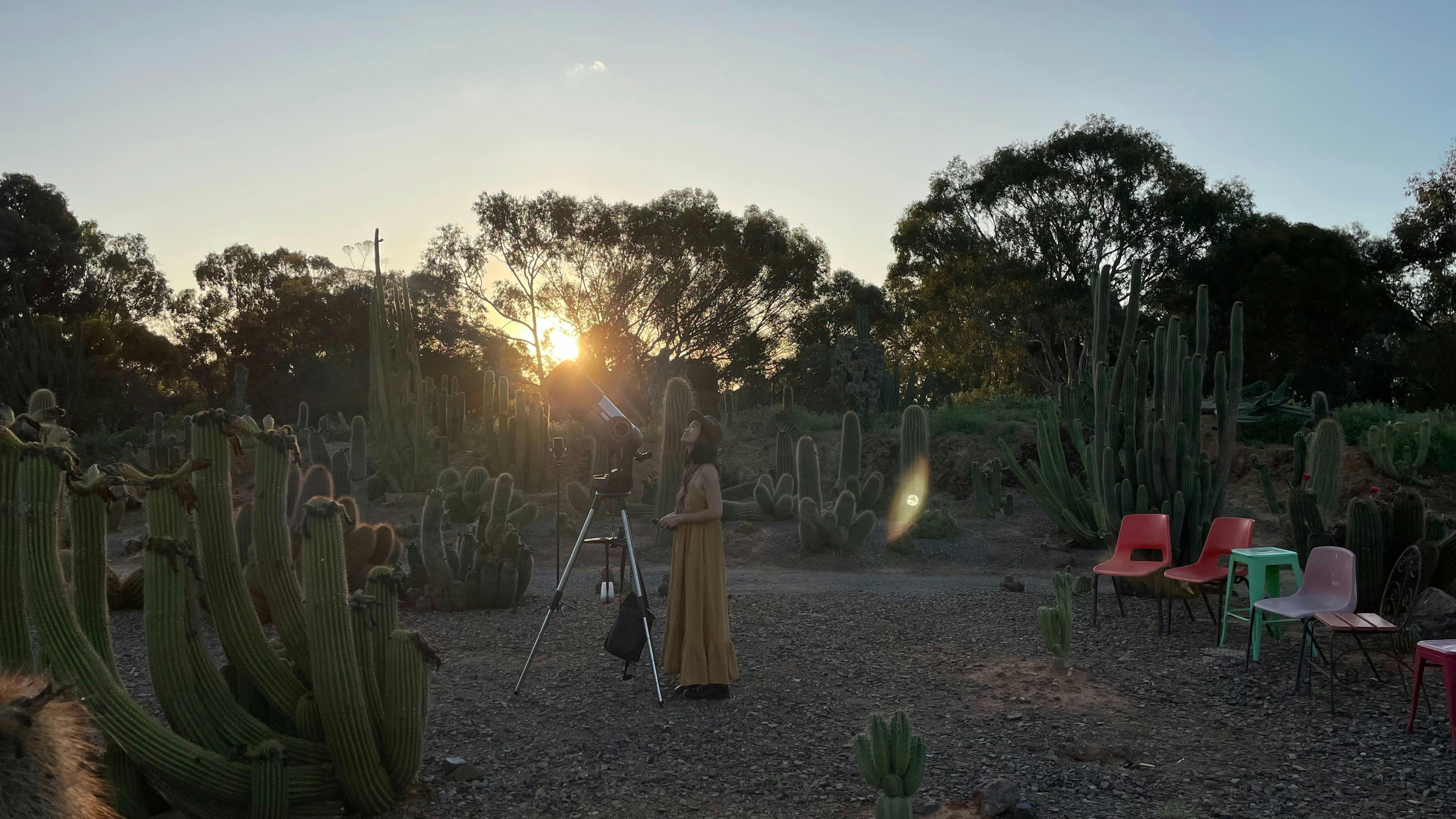 Cactus Stargazing  in the Desert