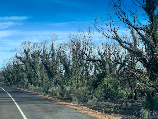 Flinders Chase Express Tour