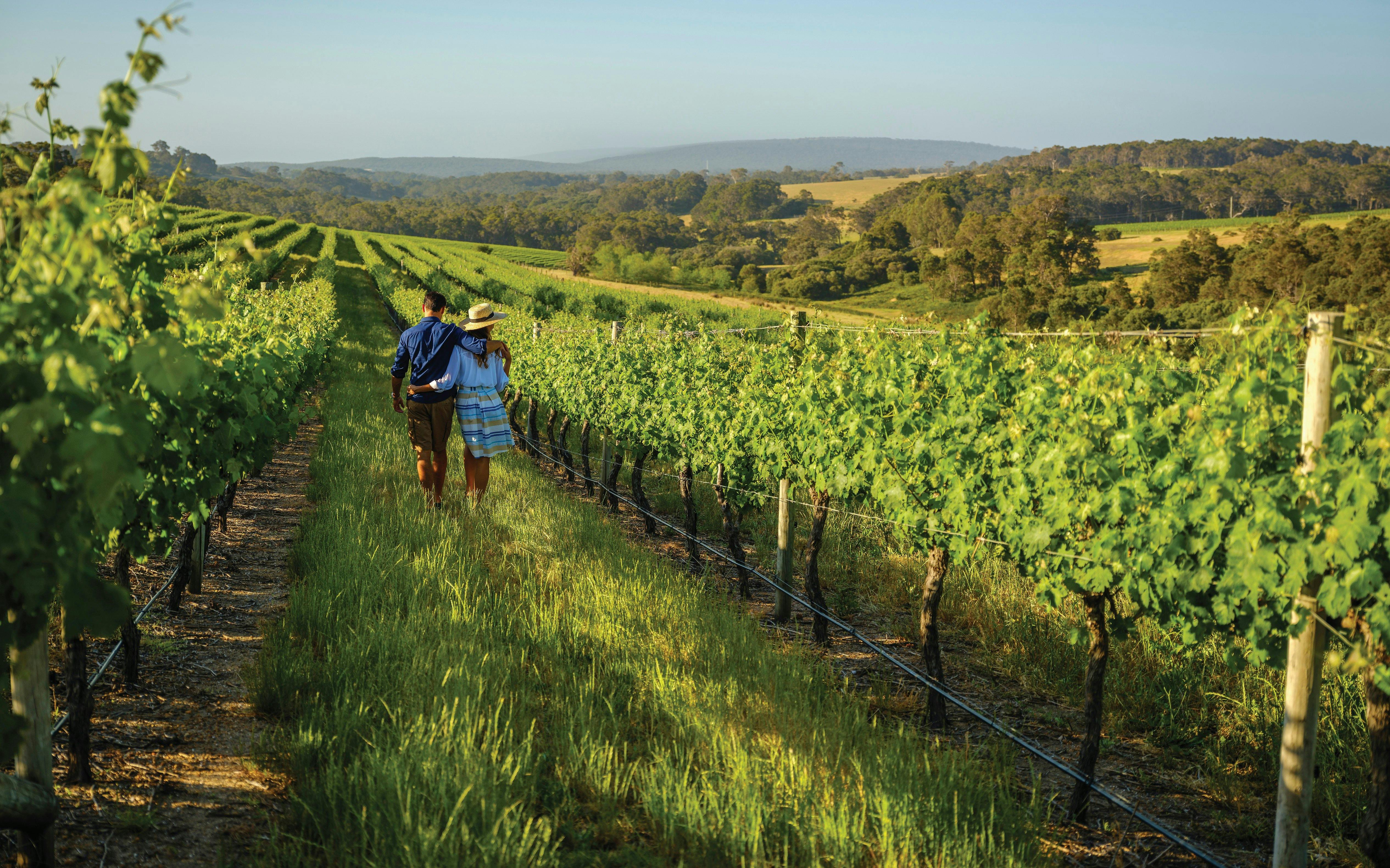 Perth and Margaret River Explorer