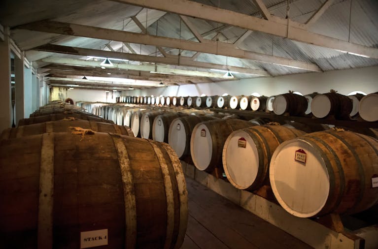 Fruits of the Vine - Private Barossa Valley Tour