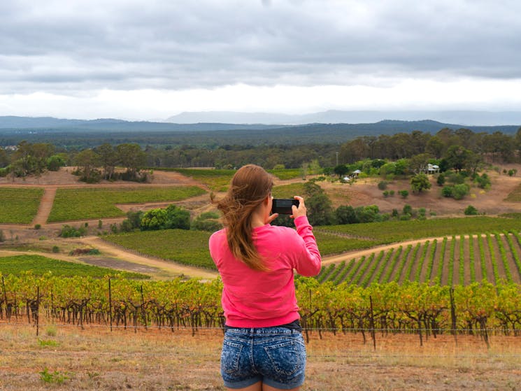 Admiring the vineyards in the Hunter Valley.