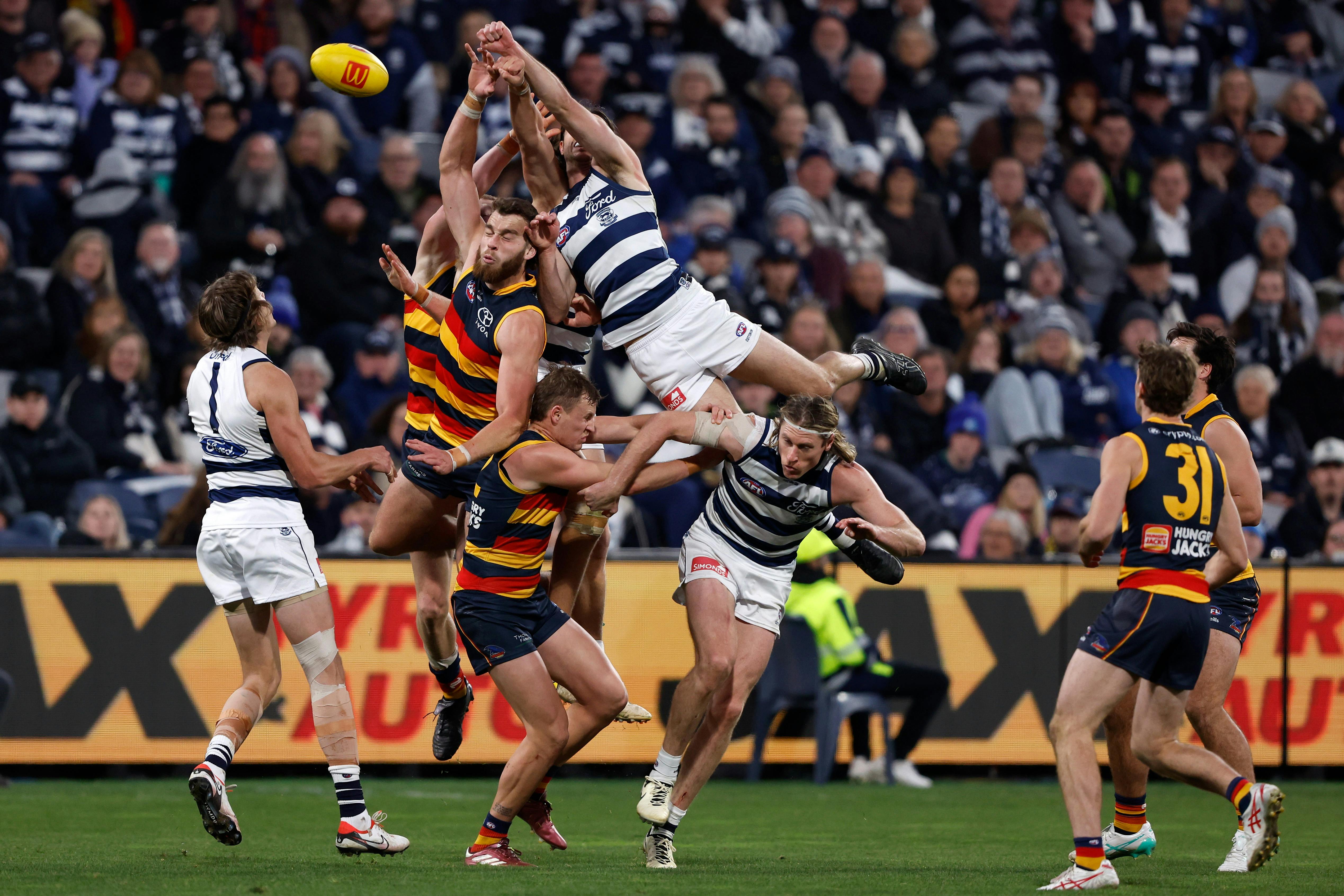 Adelaide Crows vs Geelong Cats - Gather Round 2025