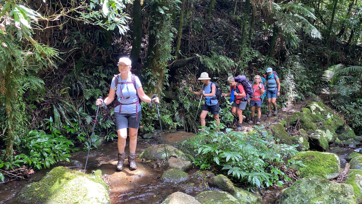 The beautiful rainforest hikes in Binna Burra