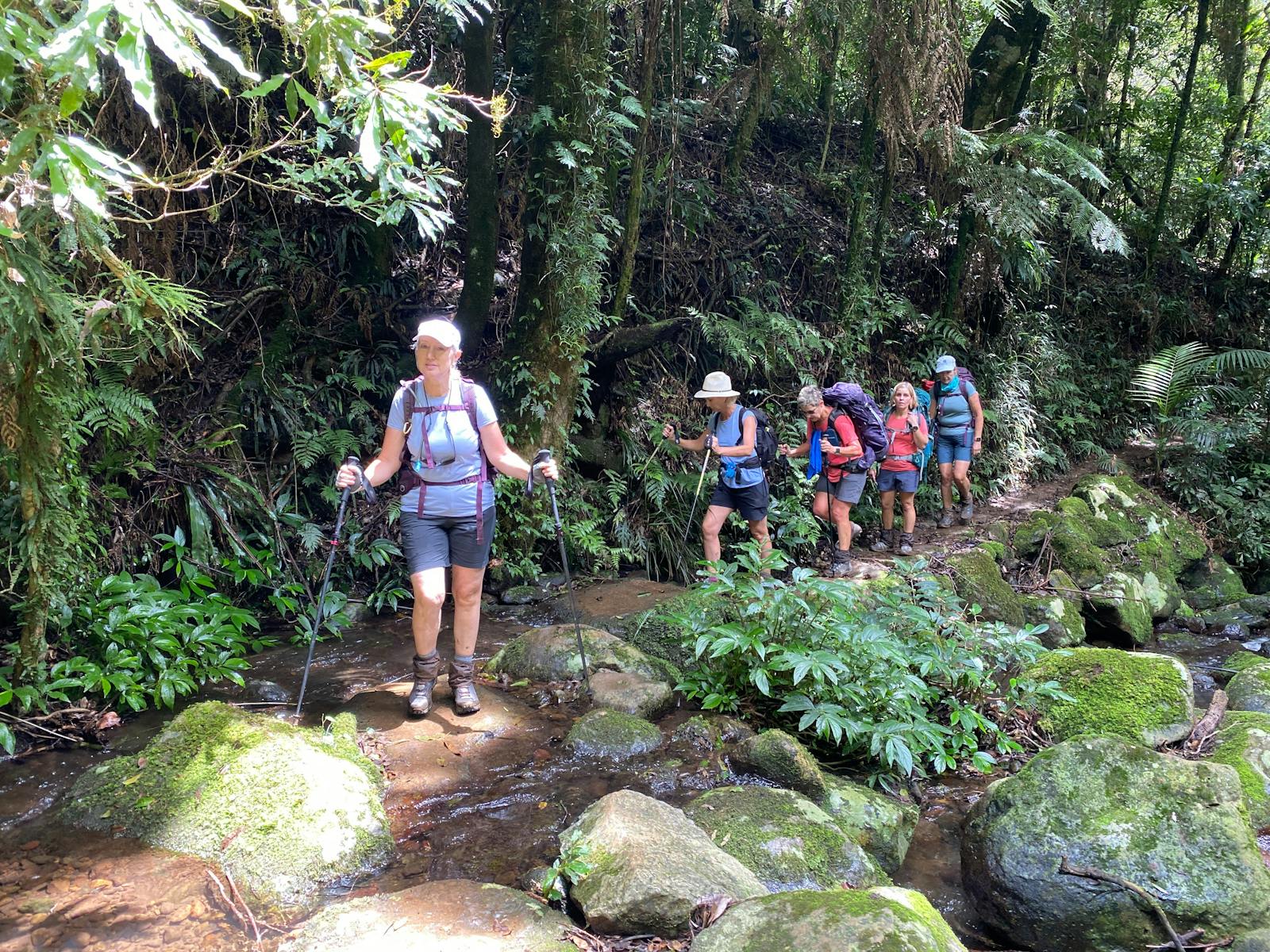 The beautiful rainforest hikes in Binna Burra