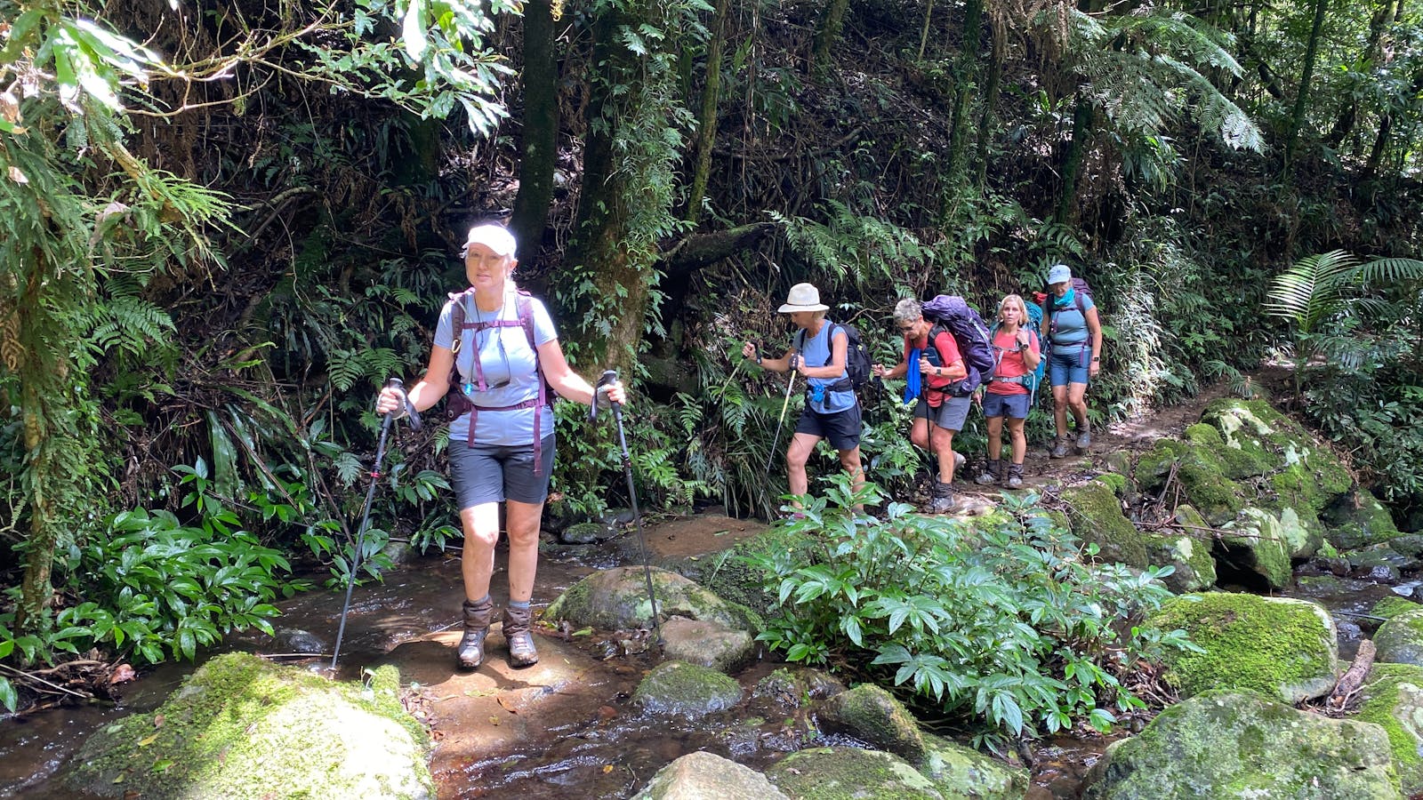 The beautiful rainforest hikes in Binna Burra