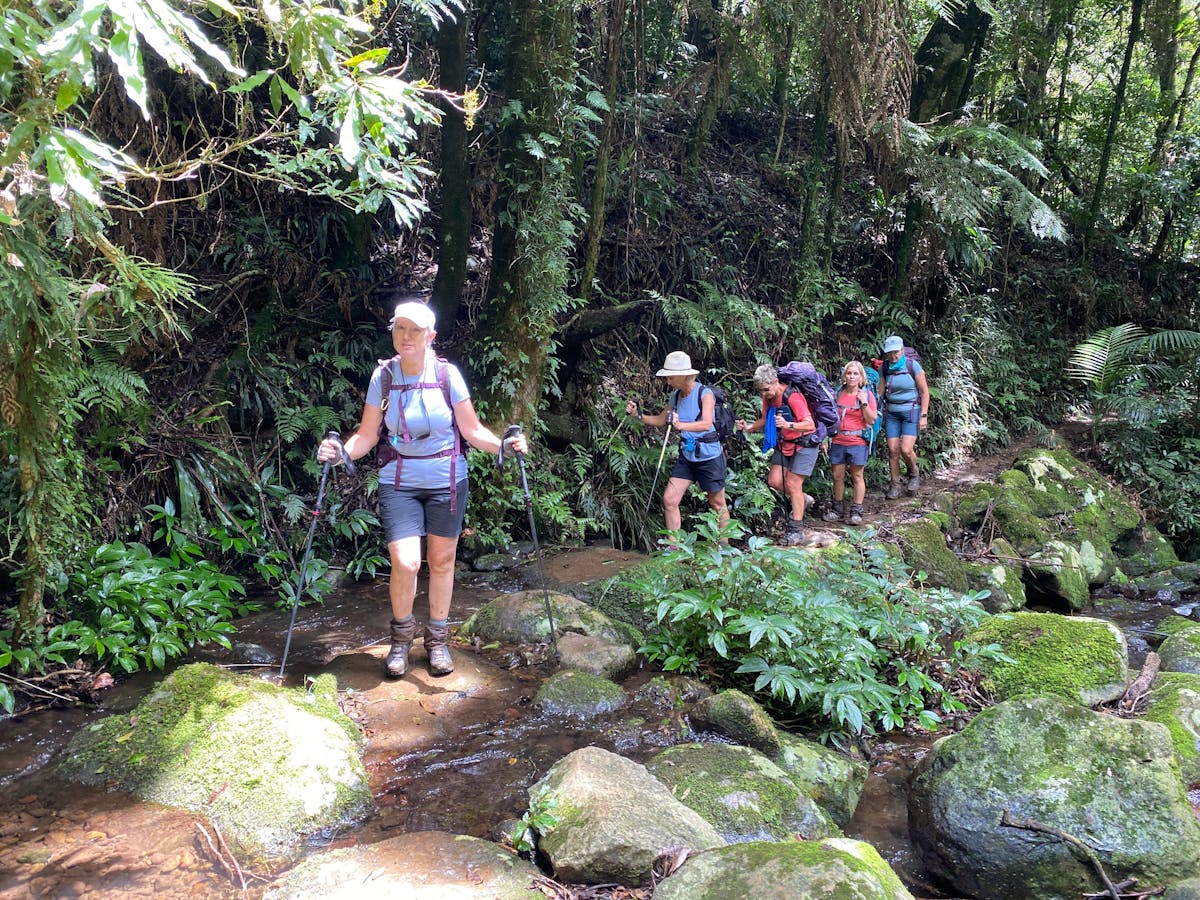 The beautiful rainforest hikes in Binna Burra