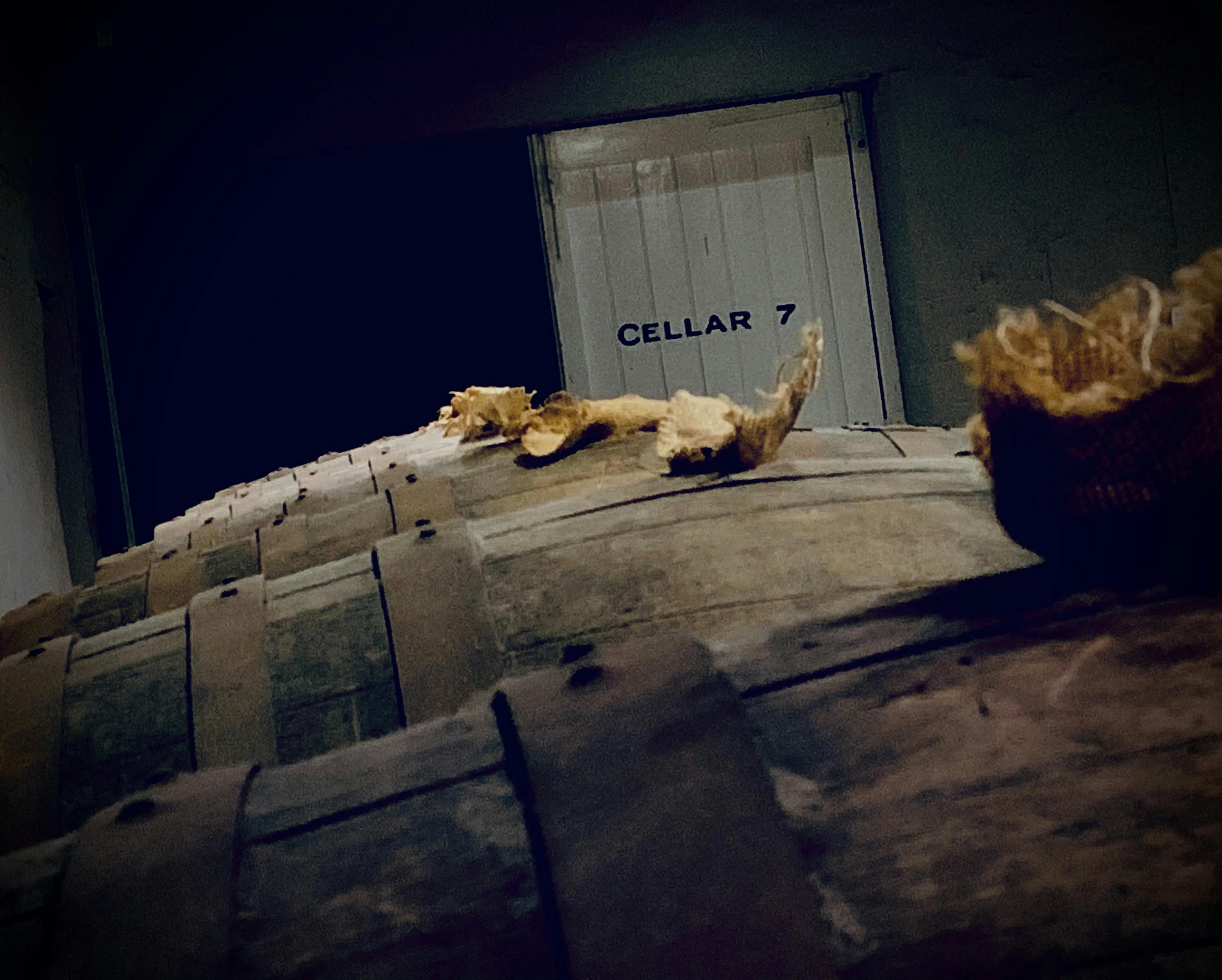 McLaren Vale Private Wine Tour with Four Wineries