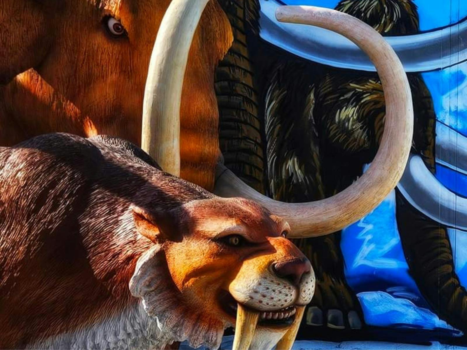 Wild On West
