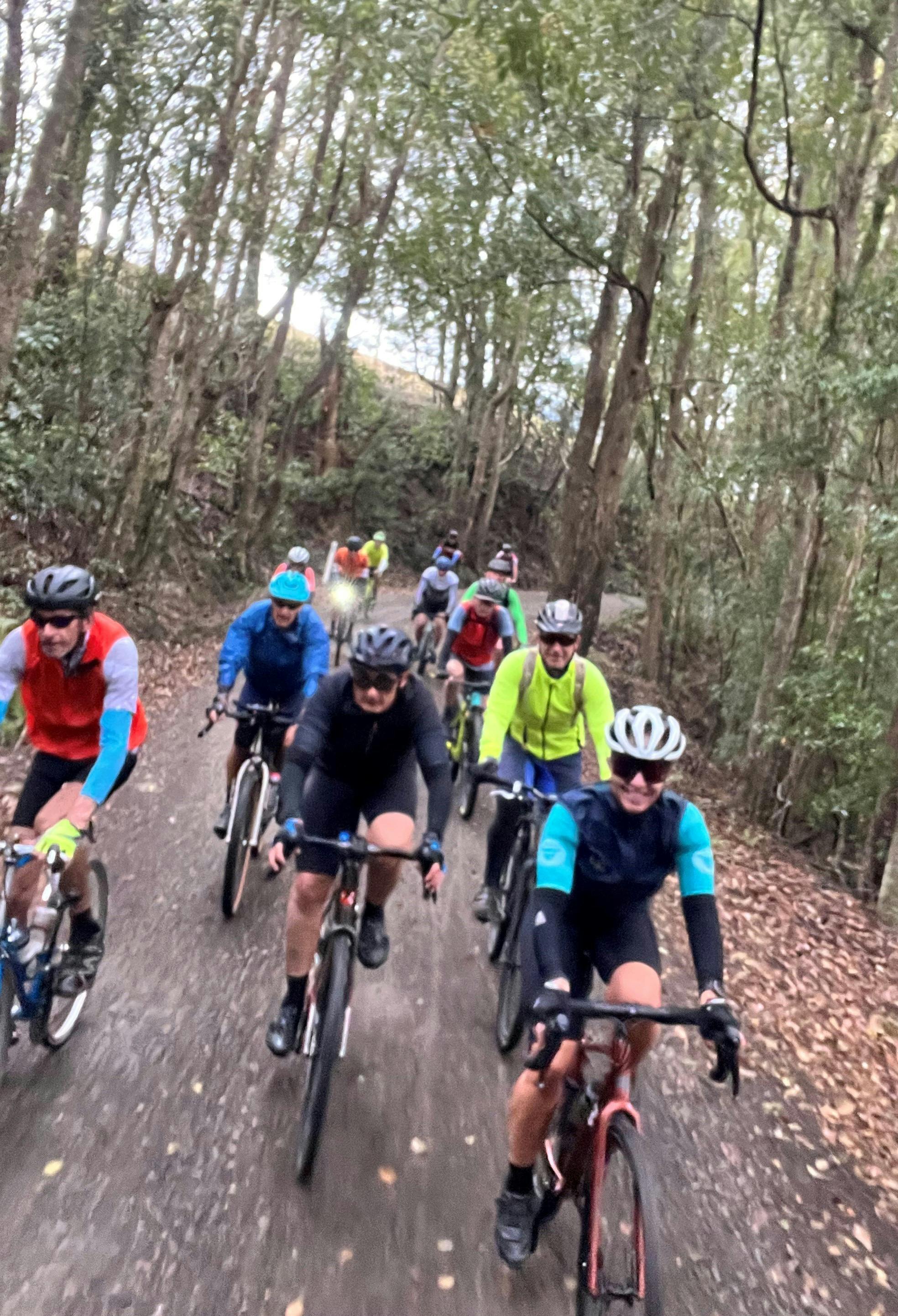 Gravel Rides - Tyalgum Loop
