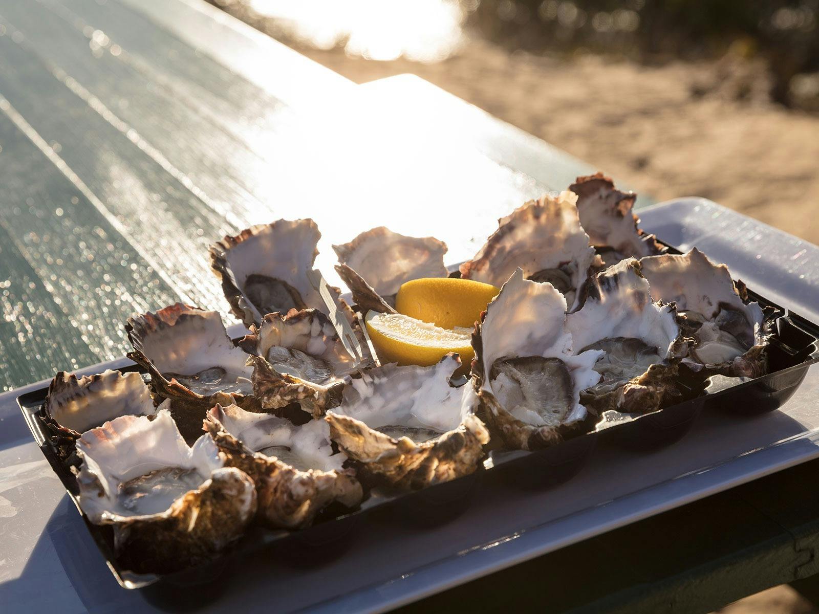 Discover the Off Season with Coastline Tours - local produce from Stanley Tasmania - bespoke tours