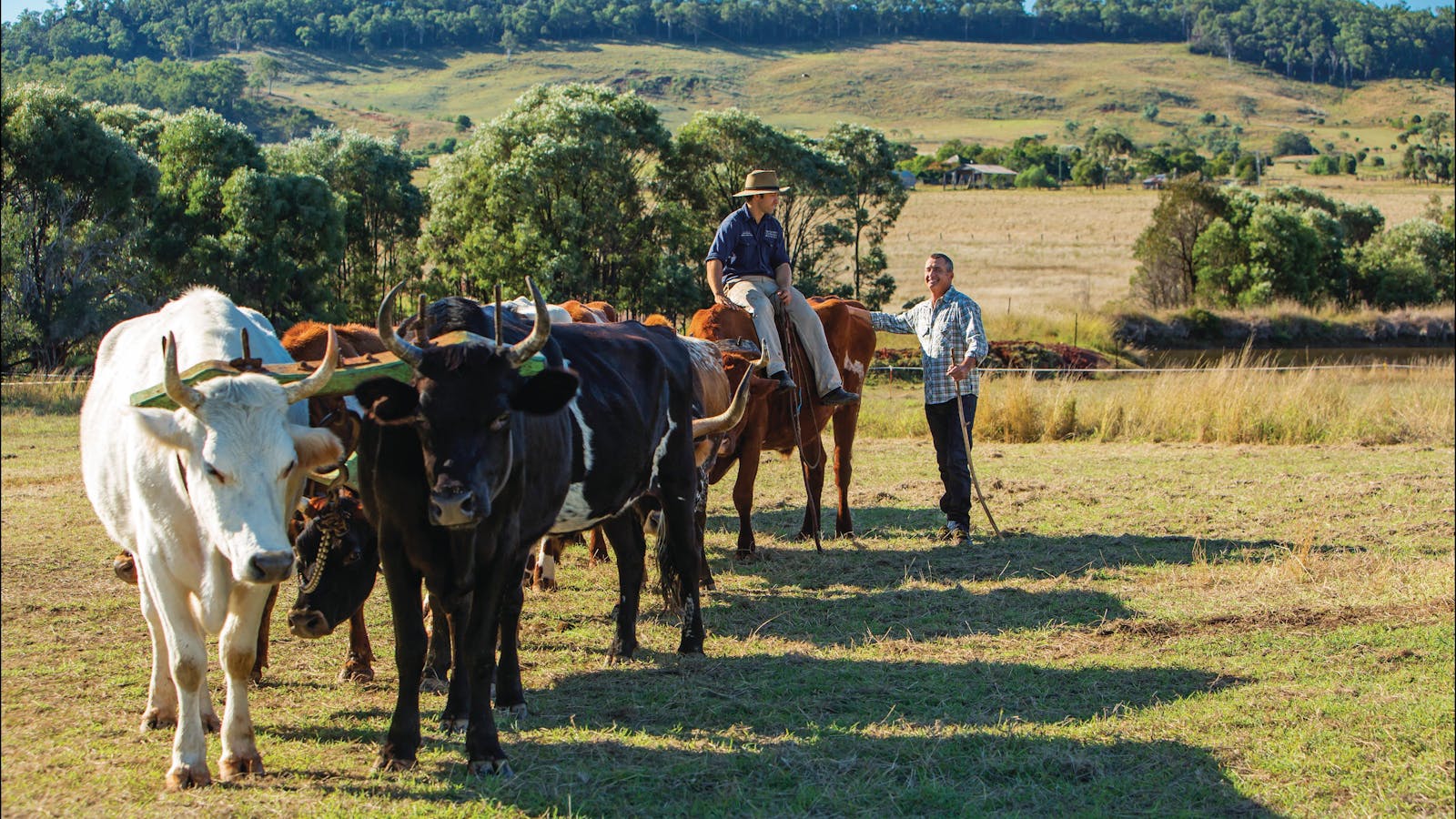 Bundaberg Country Weekend Drive