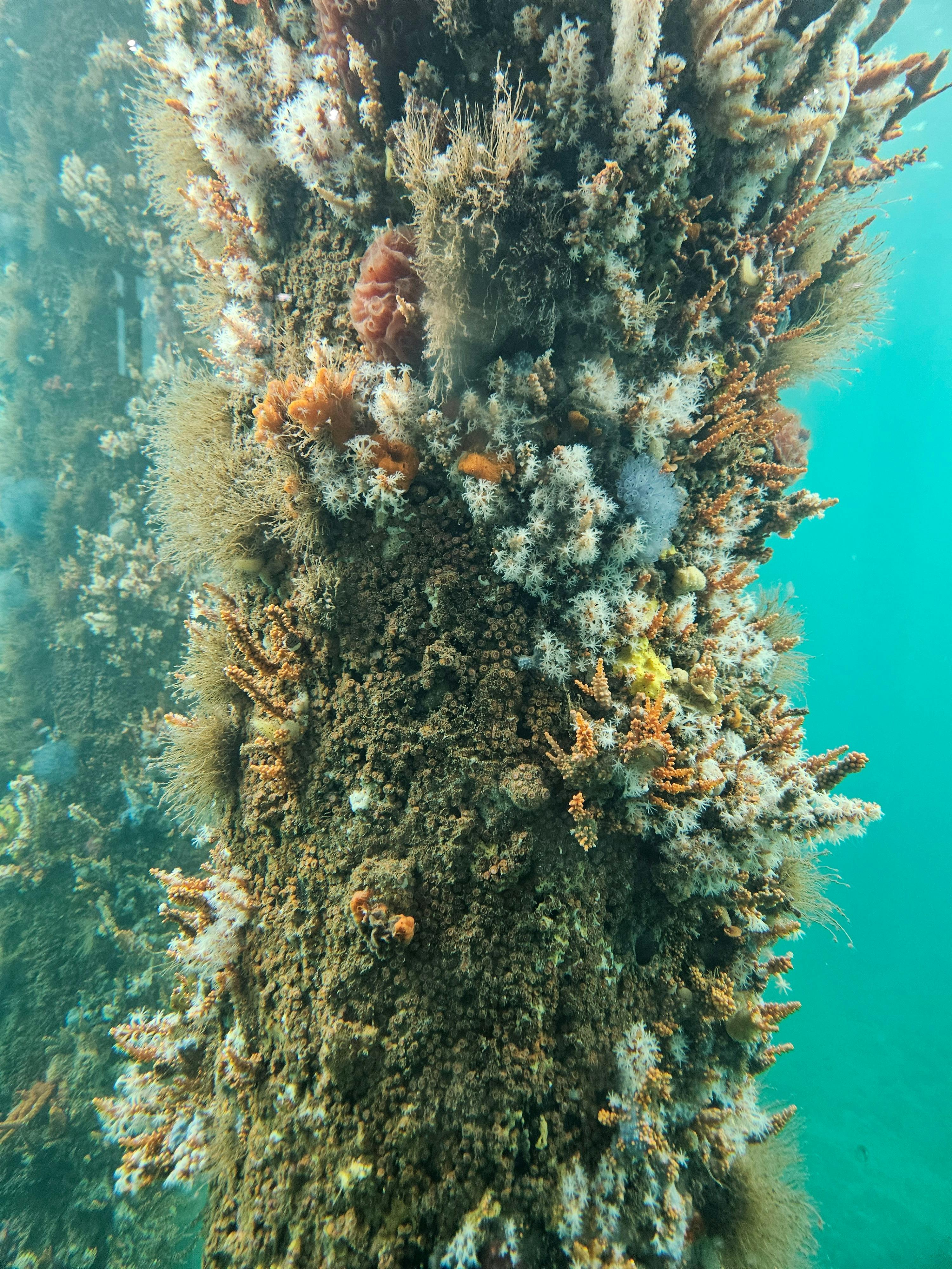 underwater observatory