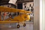 Tiger Moth