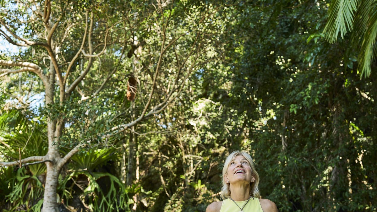 Rainforest