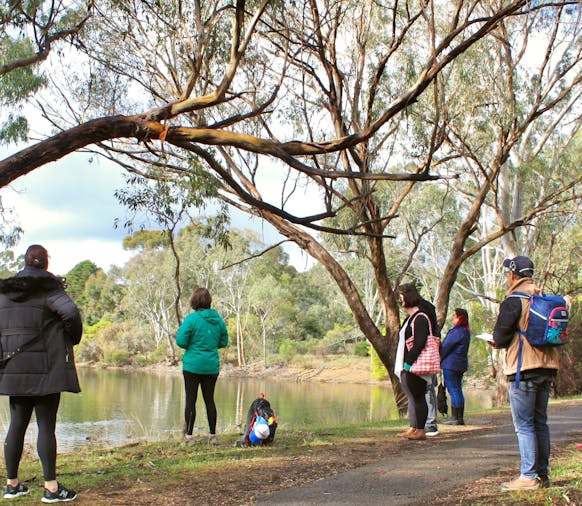 Forest Bathing Experience