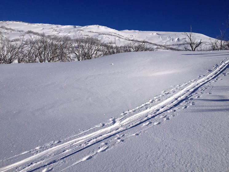 Skin track to the backcountry