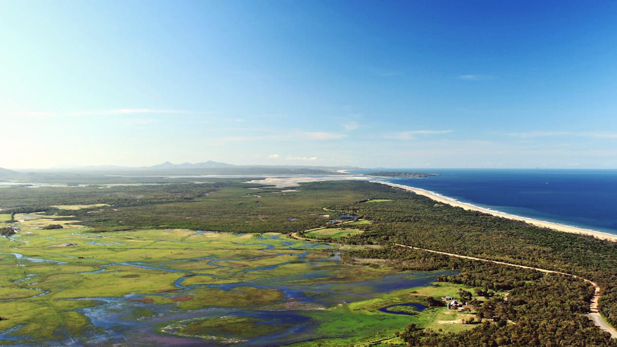 Photo of beach and wetlands