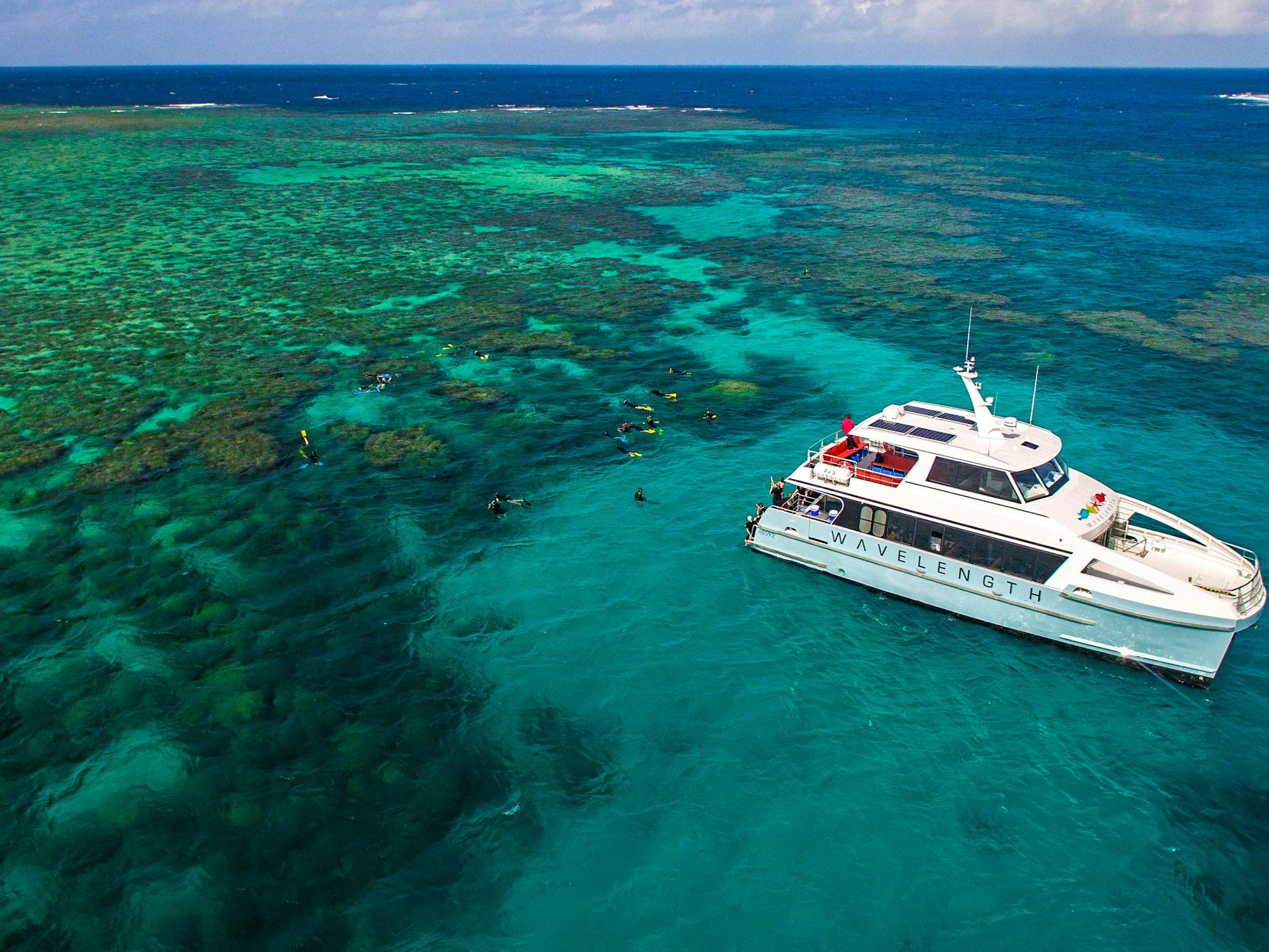 coral reef boat tour